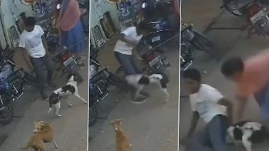Viral Video: भटक्या कुत्र्याने केला तरुणावर हल्ला, महिलाने वाचवले प्राण, सोशल मिडीयावर महिलेचे कौतुक